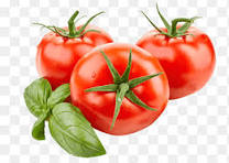 Tomato